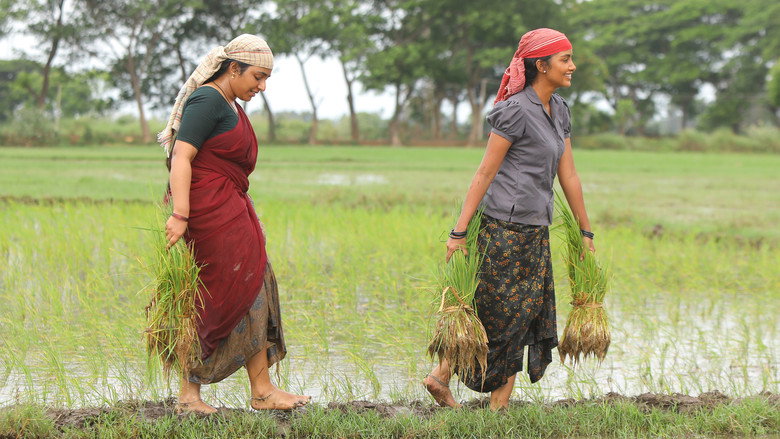 Bison Kaalamaadan still 8