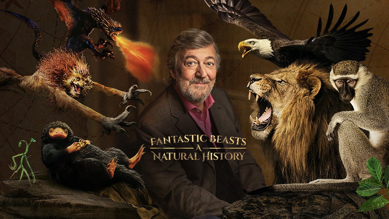 Fantastic Beasts: A Natural History still 5