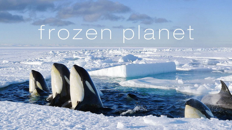 Frozen Planet still 7