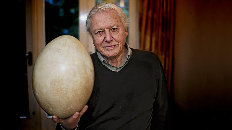 Attenborough and the Giant Egg still 2