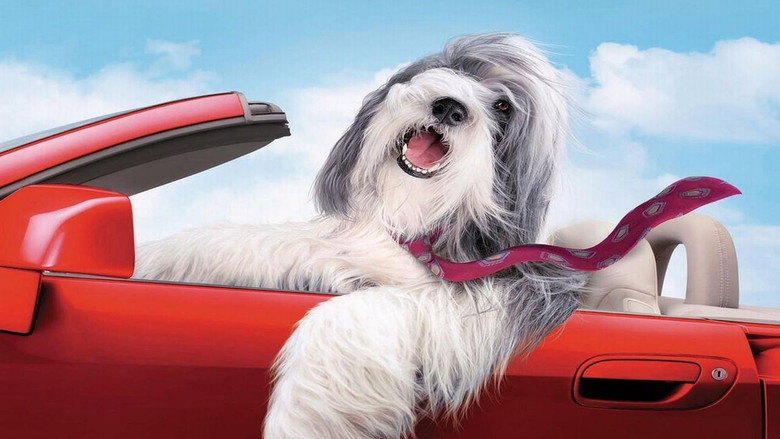 The Shaggy Dog still 1