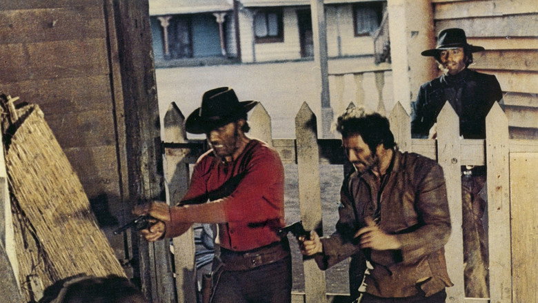 Viva! Django still 4