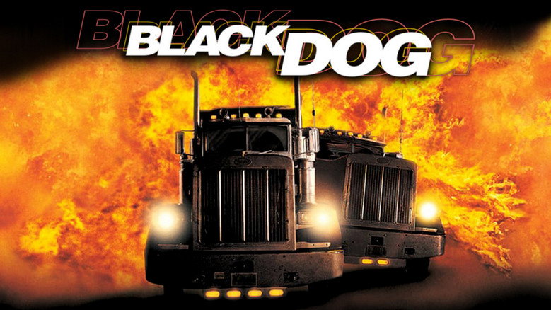 Black Dog still 7