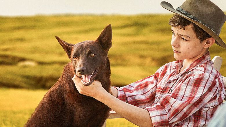Red Dog: True Blue still 3
