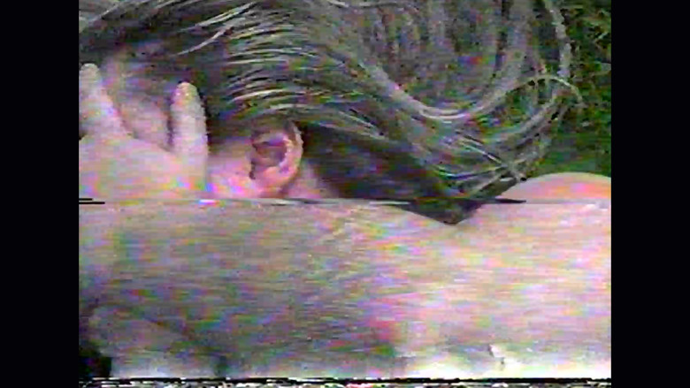 No Signal still 1