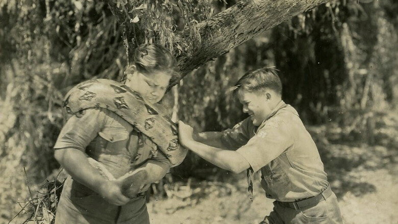 Young Eagles still 1