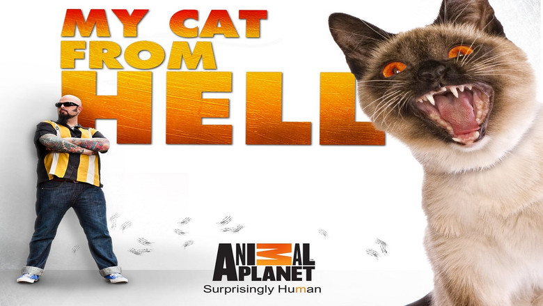 My Cat from Hell still 3