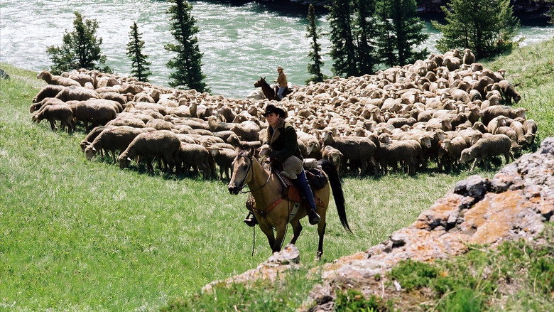 Brokeback Mountain still 3