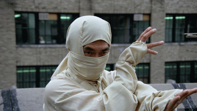 New York Ninja still 4