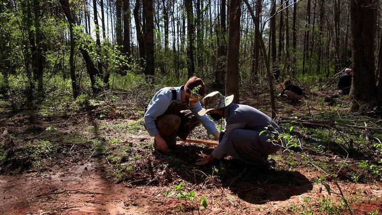 Atlanta Forest Garden: Four Days of Work still 1