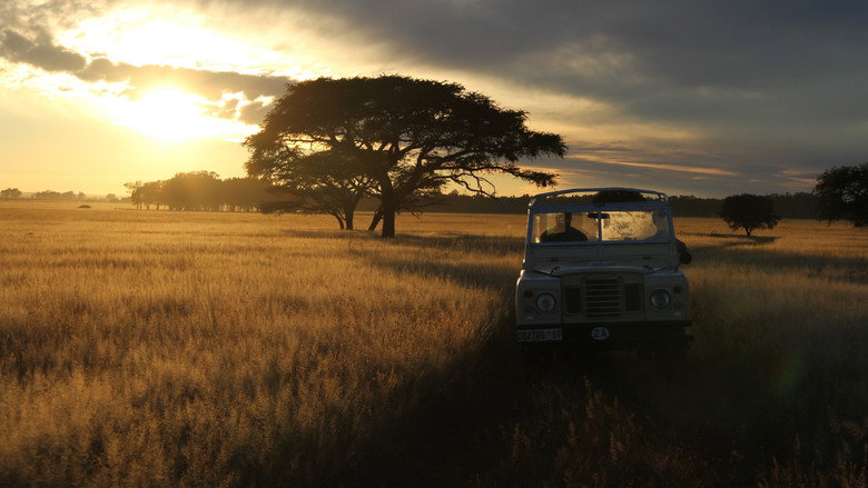 The Serengeti Rules still 3