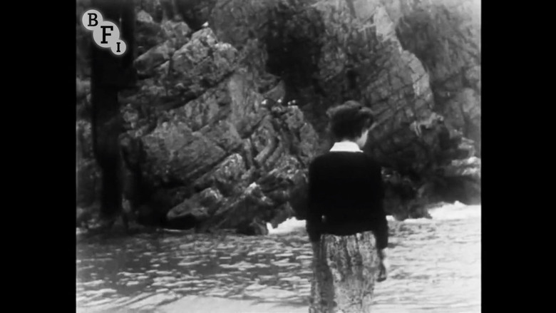 The Starfish still 1
