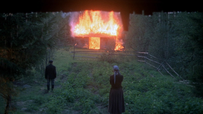 Mirror still 5