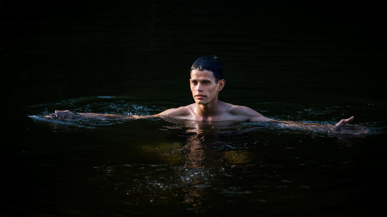 Guacho still 2