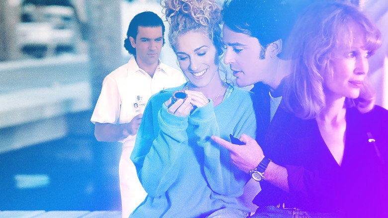 Miami Rhapsody still 4