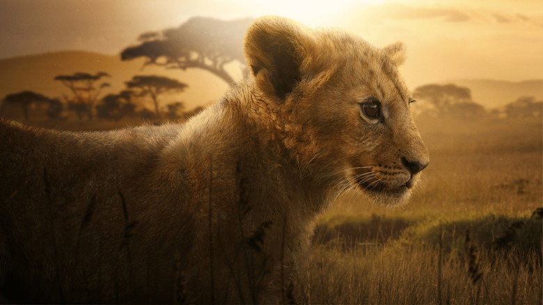 Lion still 1