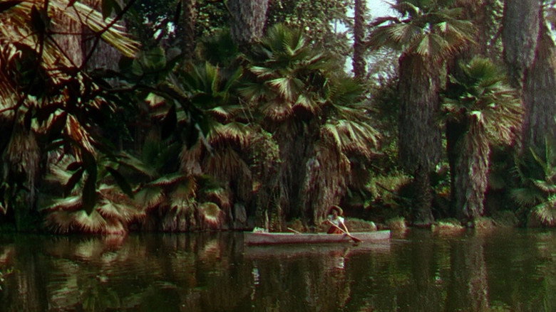 Seminole still 8