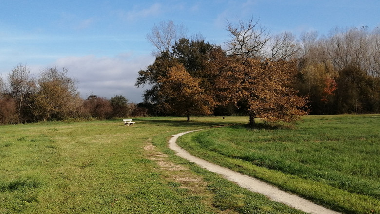 Running Fields II still 1