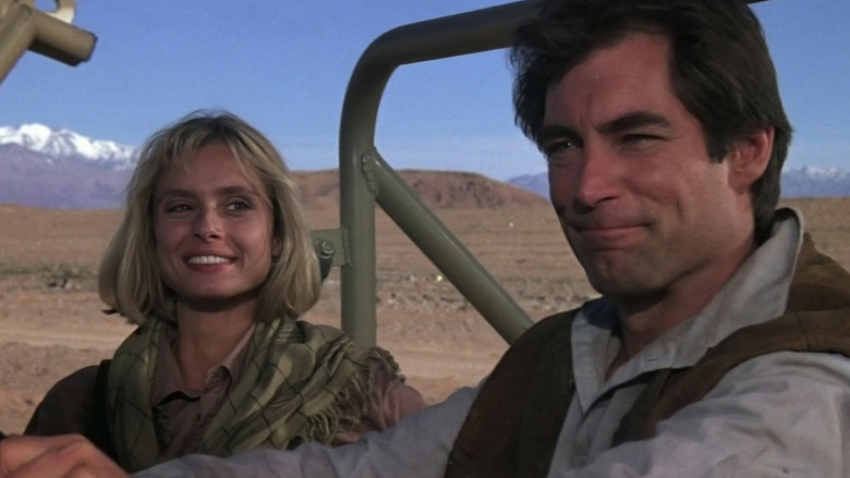 The Living Daylights still 8