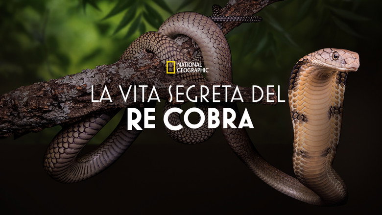 Secrets of the King Cobra still 5