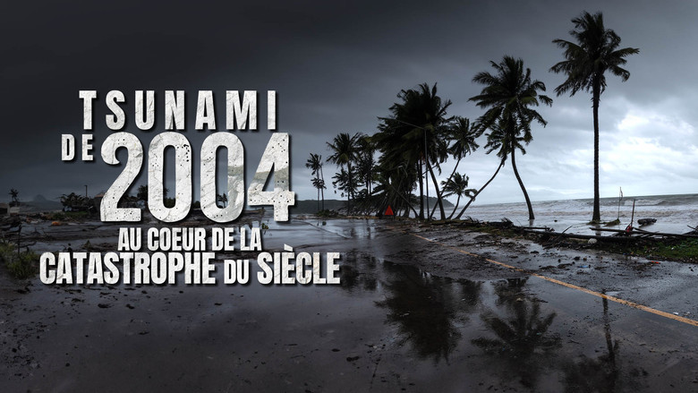 Tsunami 2004 : ils ont filmé la catastrophe du siècle still 1