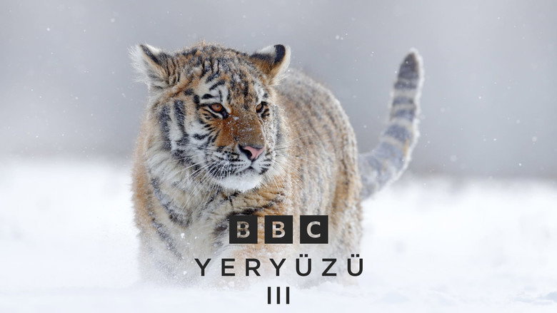 Planet Earth III still 3