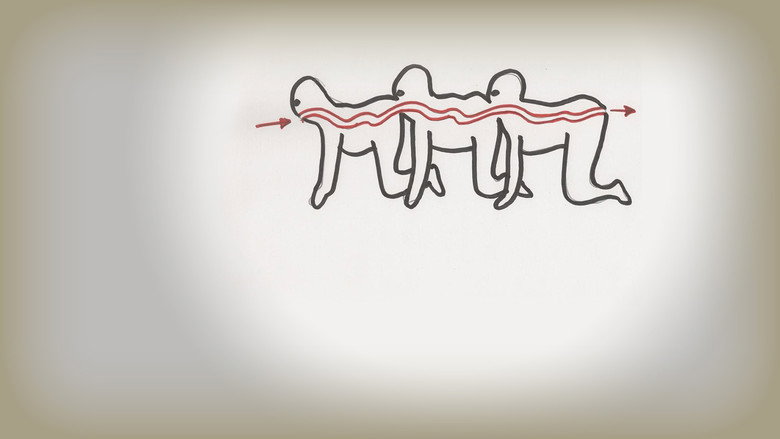 The Human Centipede (First Sequence) still 2