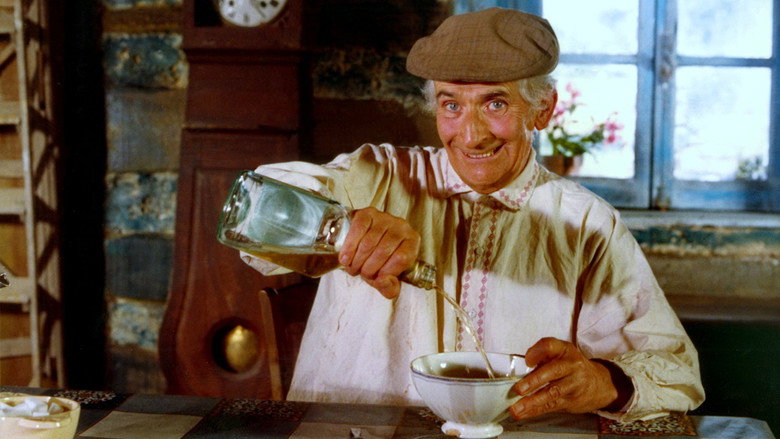 The Cabbage Soup still 2