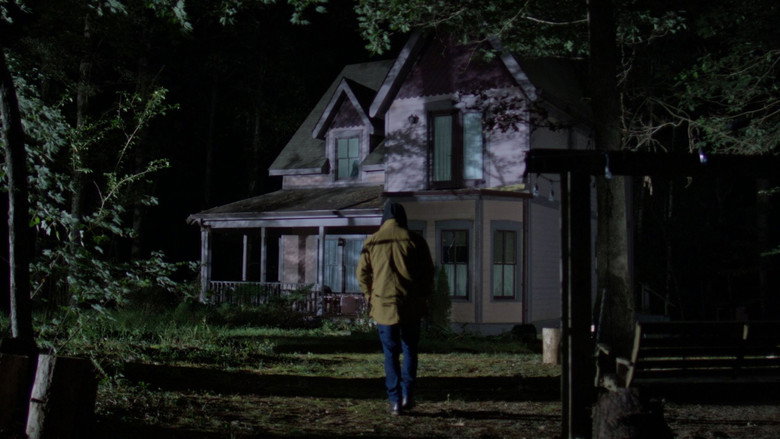Vestige still 1