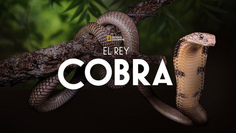 Secrets of the King Cobra still 8
