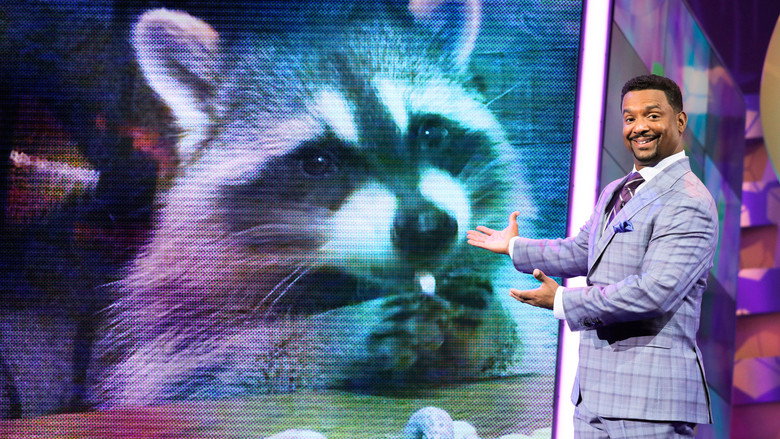 America's Funniest Home Videos: Animal Edition still 3