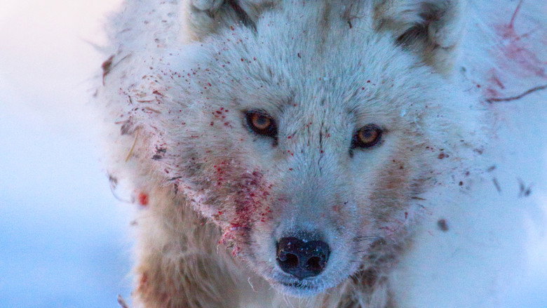 Hostile Planet still 8
